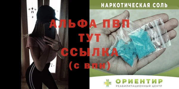 гидра Вяземский