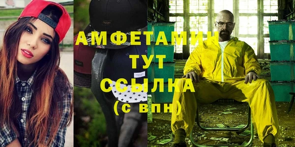 гидра Вяземский
