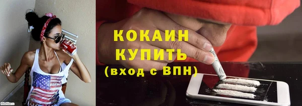 гидра Вяземский