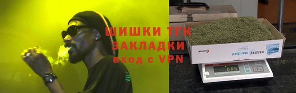 гидра Вяземский