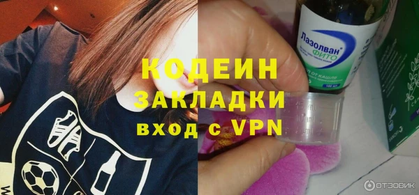 гидра Вяземский