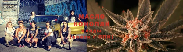 гидра Вяземский