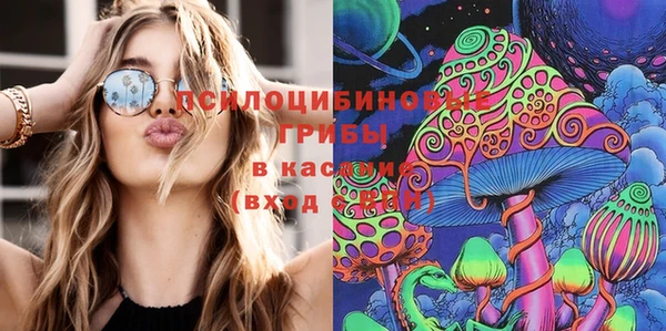гидра Вяземский