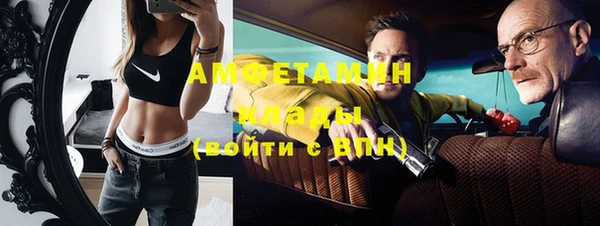 гидра Вяземский
