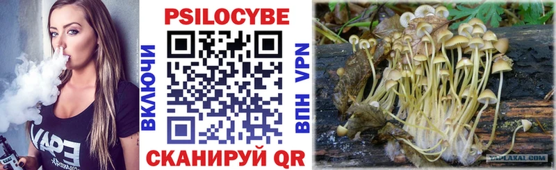 Галлюциногенные грибы мухоморы  купить наркотик  мега ТОР  Избербаш 